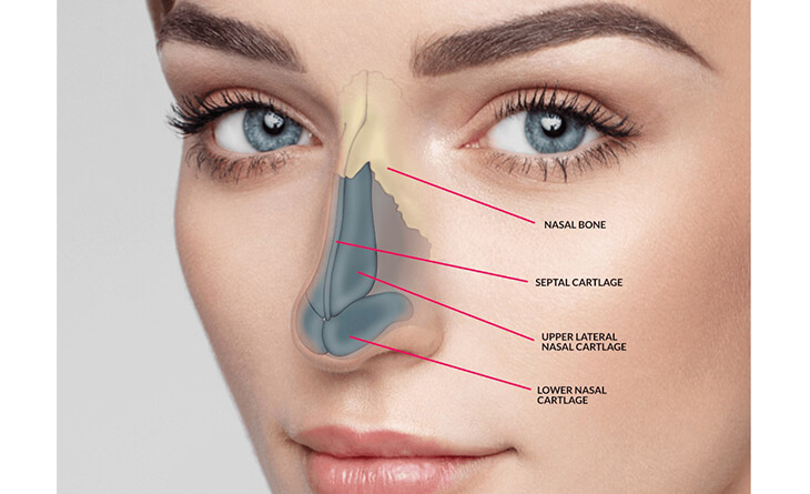 Rhinoplasty Surgery